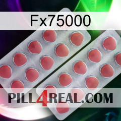 Fx75000 19